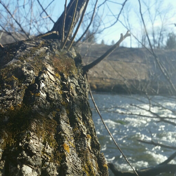 benkarels28